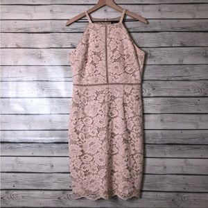 Vince Camuto Nude Blush Lace Halter Bodycon Dress